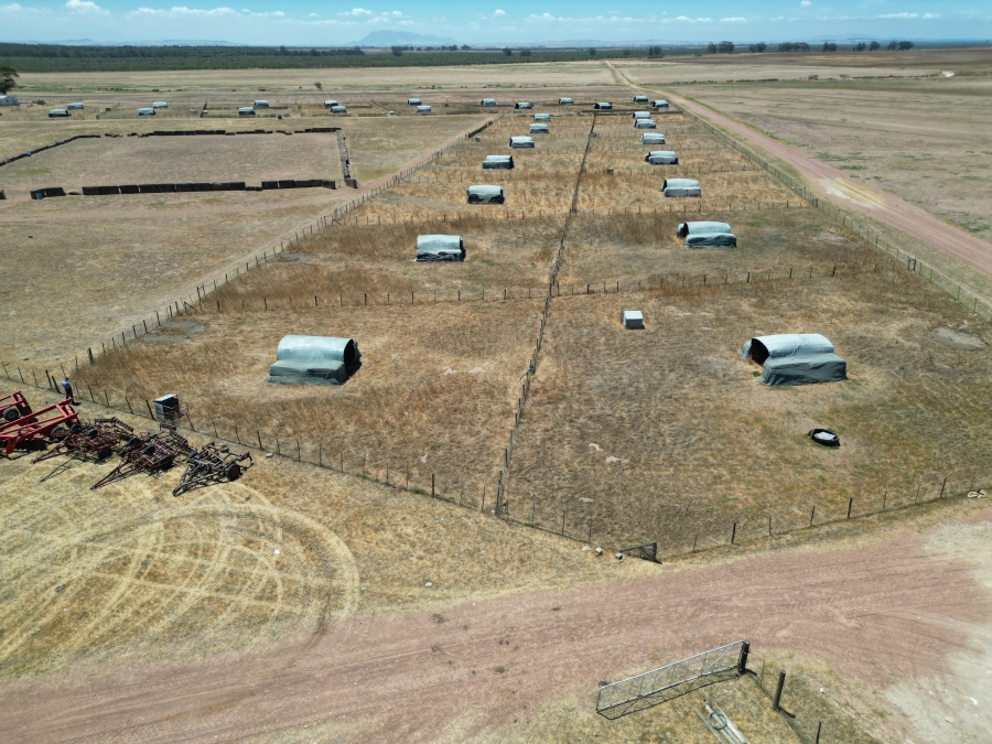 5 Bedroom Property for Sale in Darling Western Cape